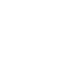 自費訪問整体 